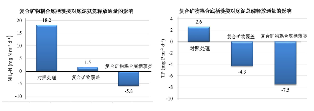 未標(biāo)題-5.jpg